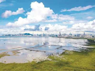 “双铁线”保护城市生物繁衍生息  “生物多样性魅力城市”深圳答卷