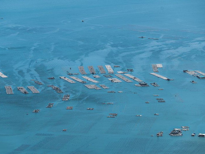 休渔期到了 你想要的“海鲜自由”能实现吗？