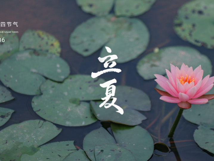 节气宝安 | 今日立夏