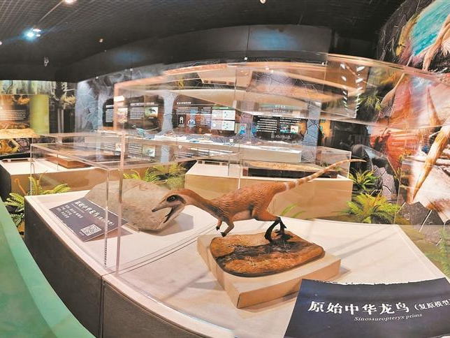 首届“深圳文化遗产月”启动 四大重点主题活动闪耀深圳文化传承力量