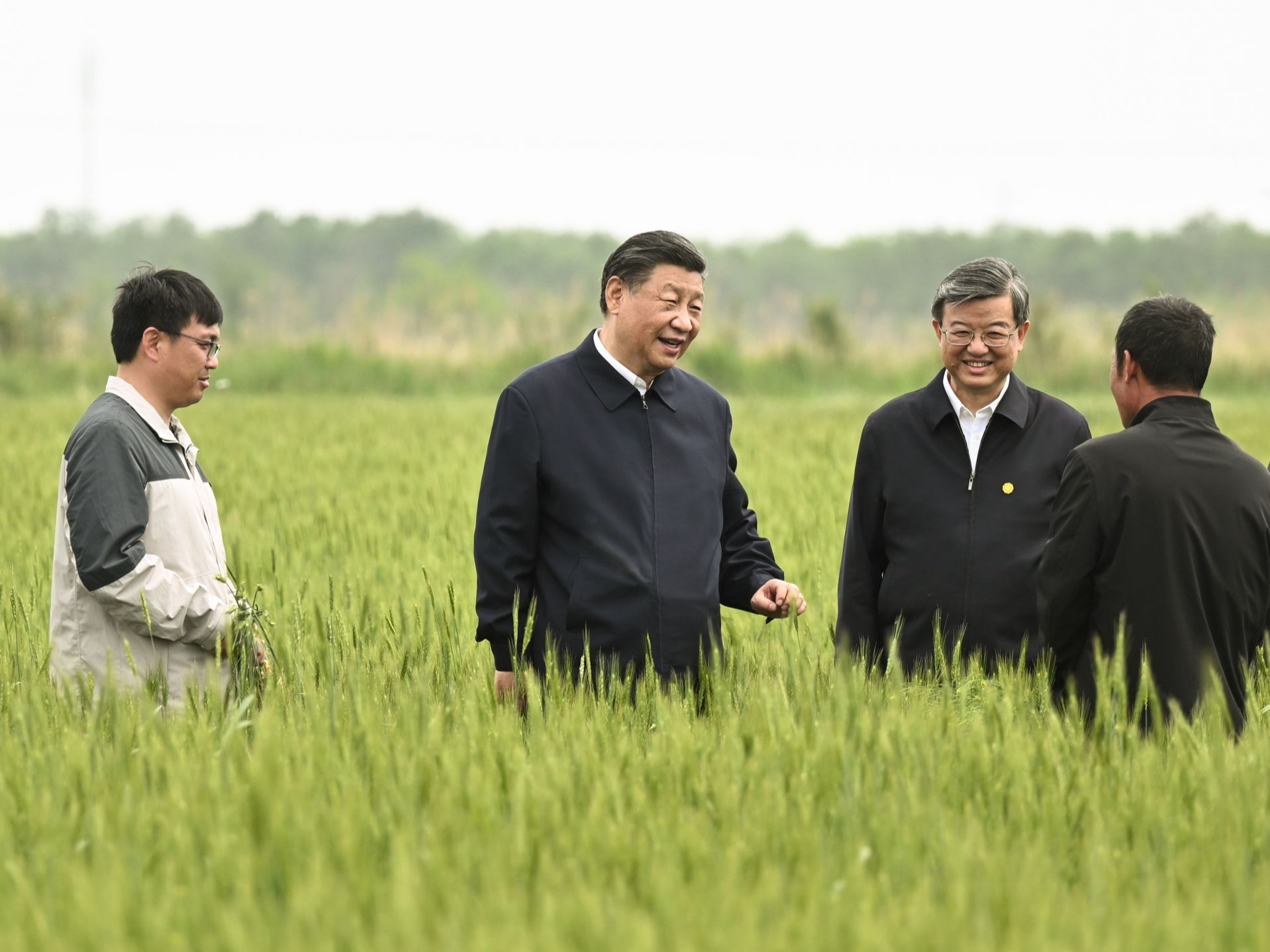 总书记刚刚来过这里| 种好旱碱麦，把粮食安全保障好