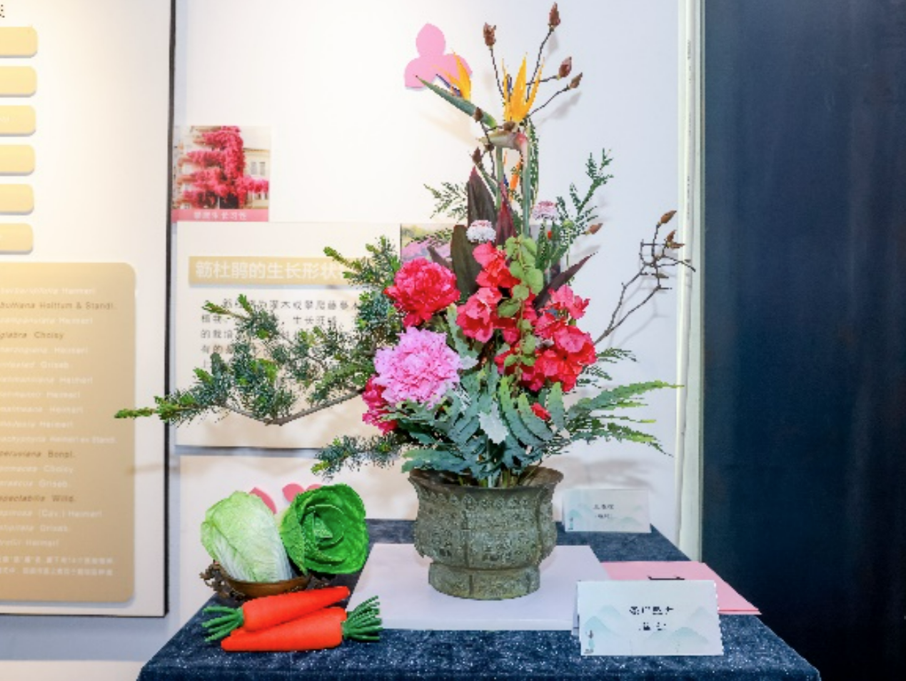 传统插花簕杜鹃作品展演在簕杜鹃谷公园举办