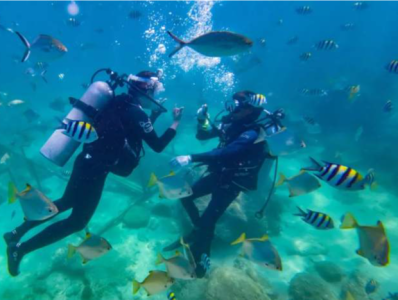 海南三亚：游客下水前可无理由退订潜水产品