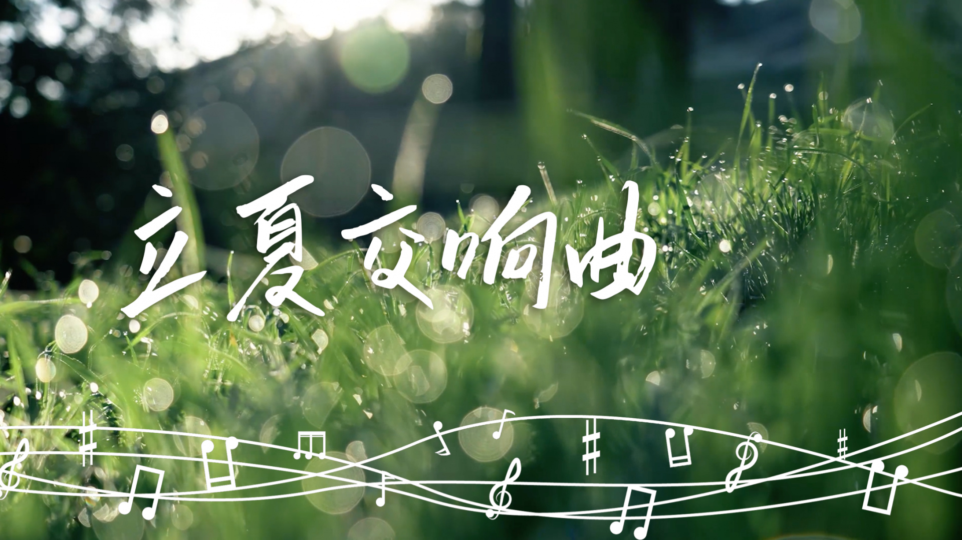 立夏交响曲