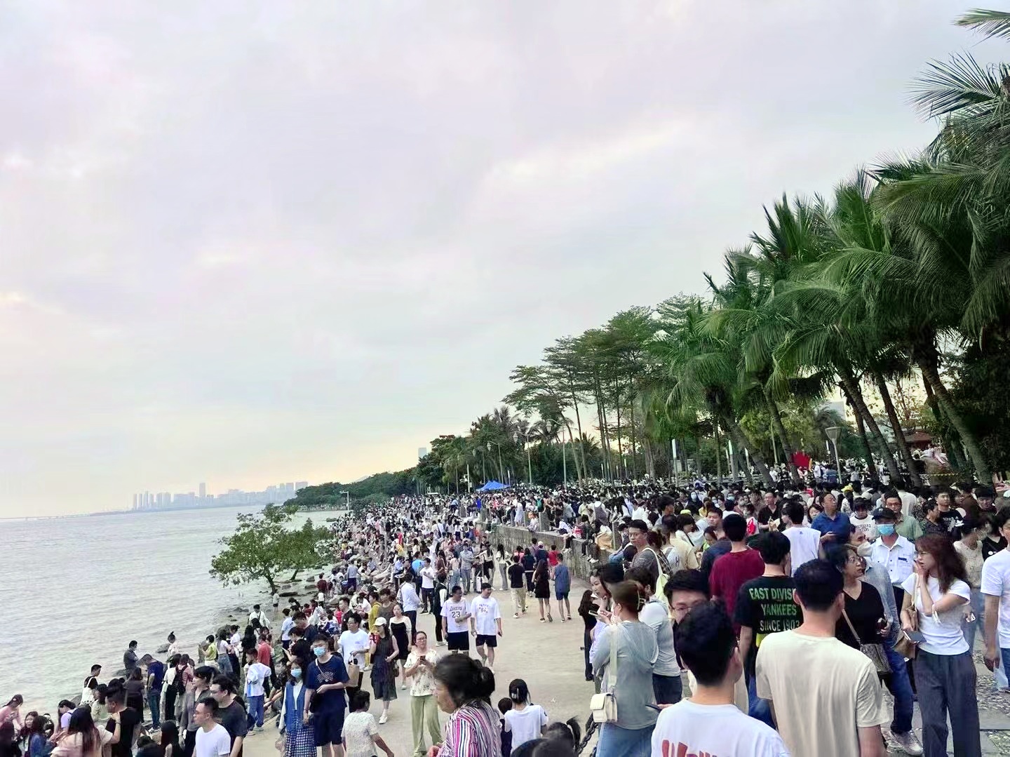 单日入园人数已超20万，深圳湾公园提醒：错峰游览