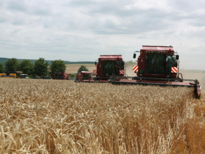 欧盟将延长对乌克兰粮食的贸易禁令