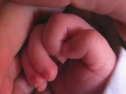 英国首批三亲婴儿诞生：体内有3人DNA，可防线粒体病遗传
