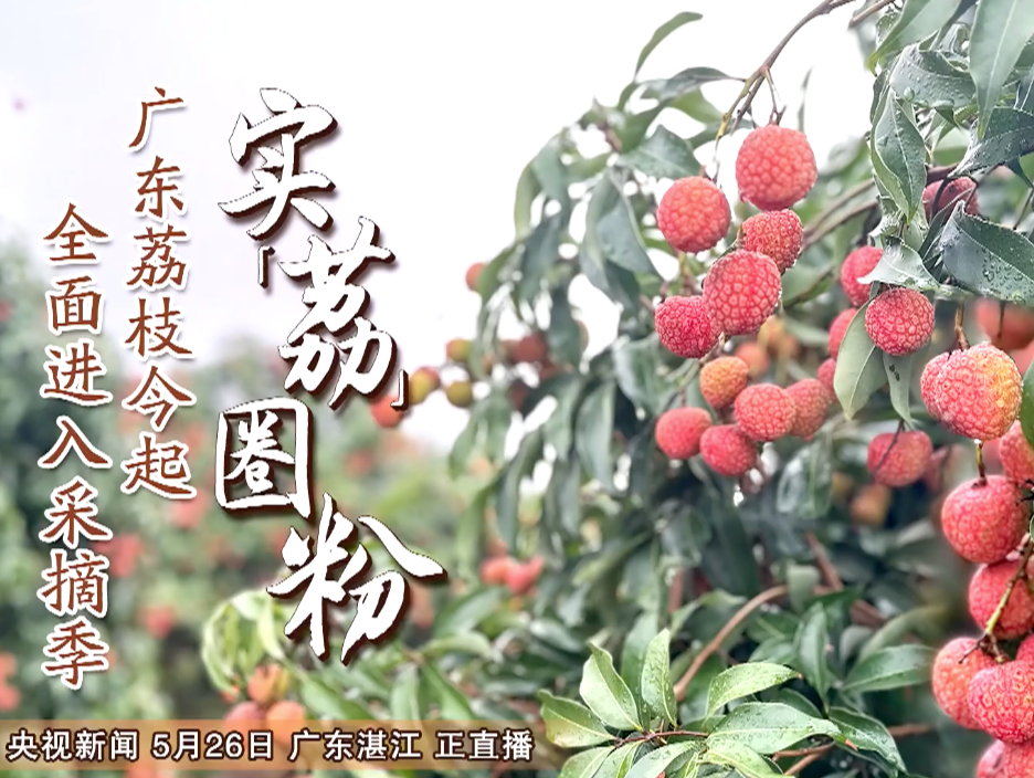 给“荔”！给力！给力！