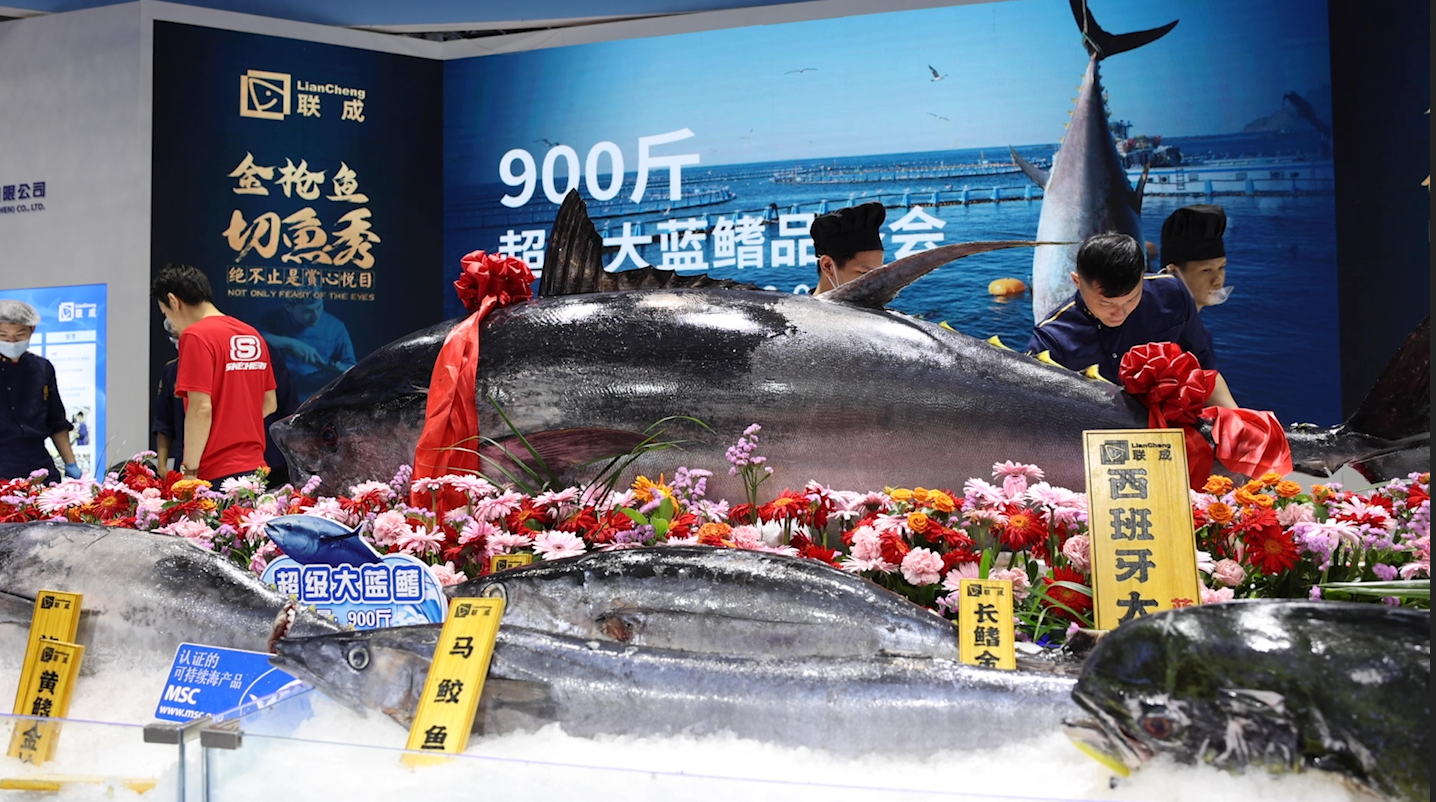 盘点渔博会上的深海巨无霸～！现切现卖！最重达400公斤
