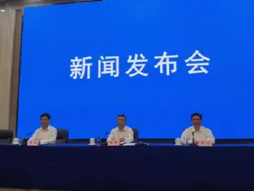 南宁：目前没人因停车欠费被纳入失信被执行人名单