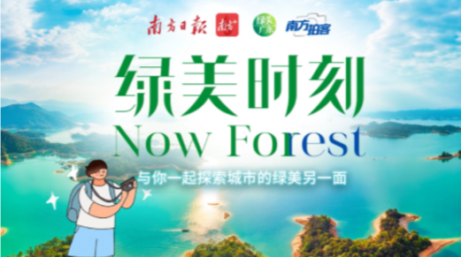 夏季来临，看红树林中“森森不息”