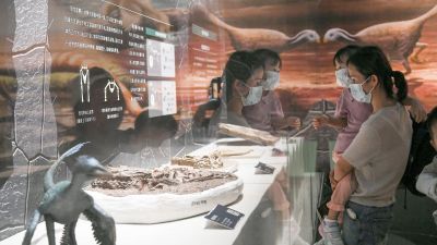 看远古生物“竞自由”！“重返白垩纪——热河生物群特展”在深圳博物馆开幕
