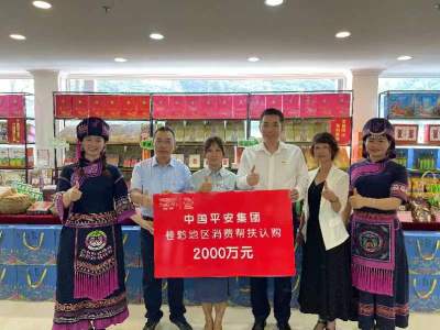 “党建+”创新模式助力乡村振兴，平安集团在桂黔地区消费帮扶洽购超2000万元   