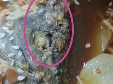 情况属实！官方通报“高校食堂烤鱼现蛆虫”