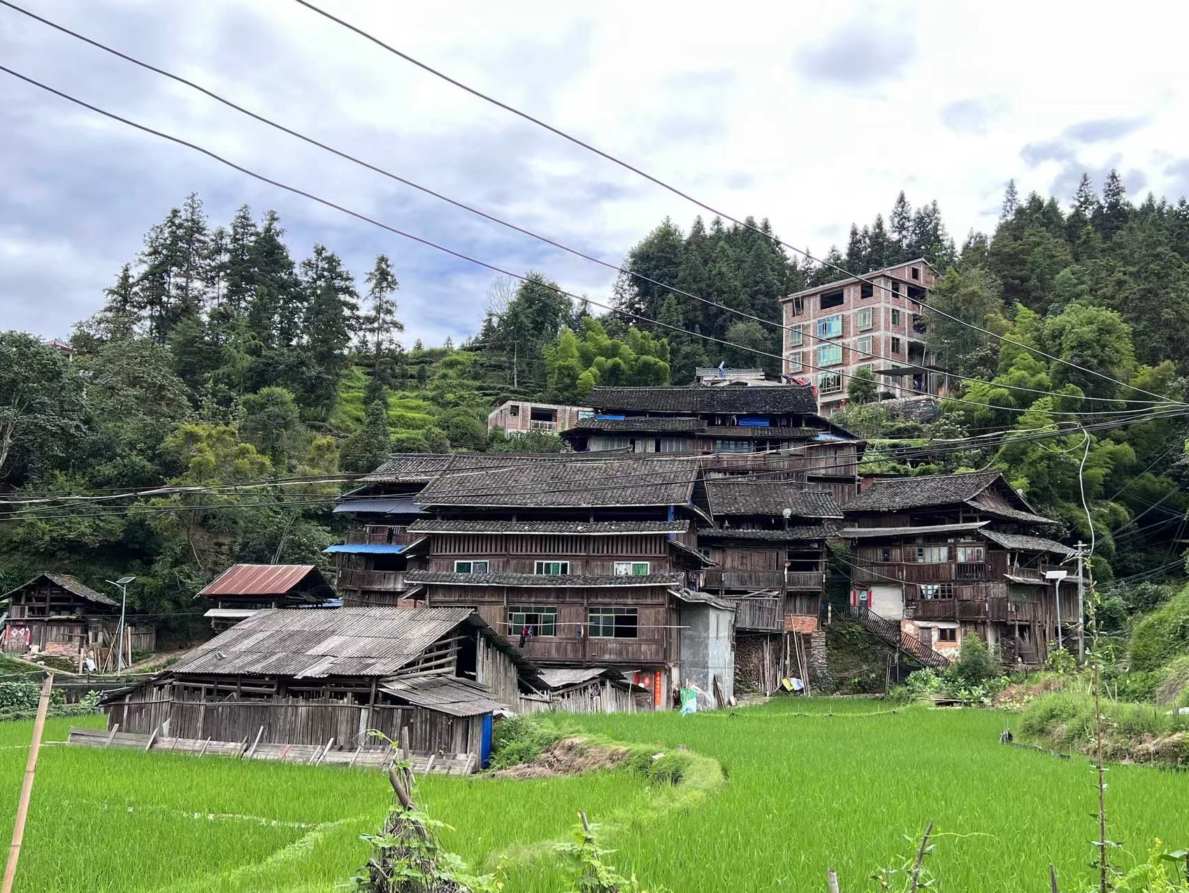 筑起安全“防火墙”！沙头角边检站帮建乡村消防站 