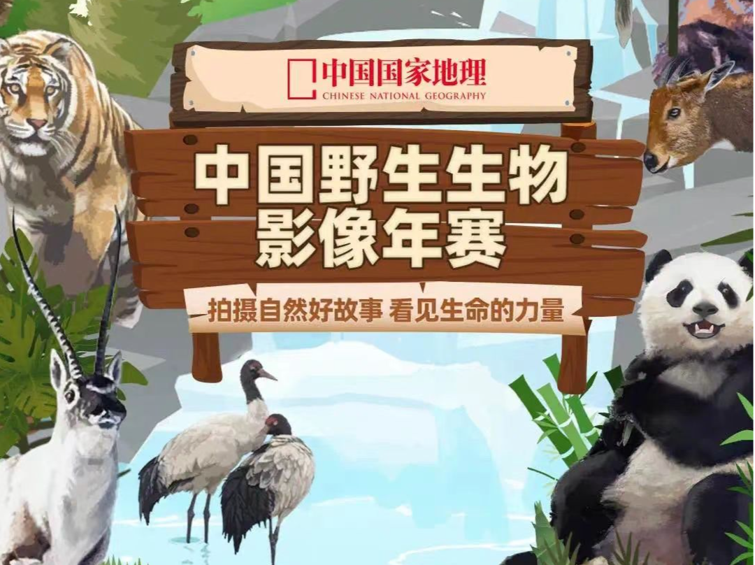 2023中国野生生物影像年赛在深正式启动