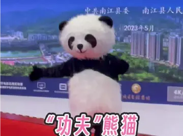 “功夫”熊猫亮相文博会