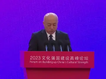 王旭东：文化兴国运兴  文化强民族强