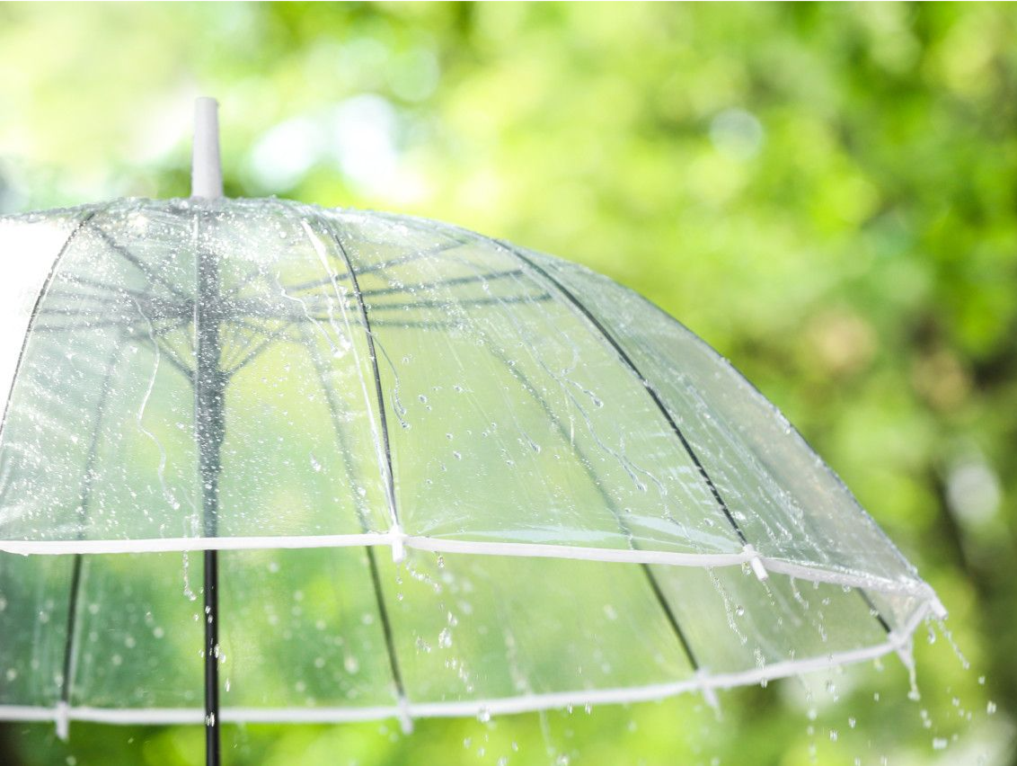 @深圳人，注意带伞！未来一周深圳多阵雨