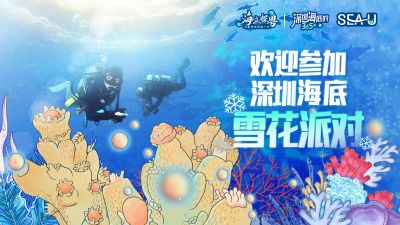 这个夏日，来深圳参加海底派对