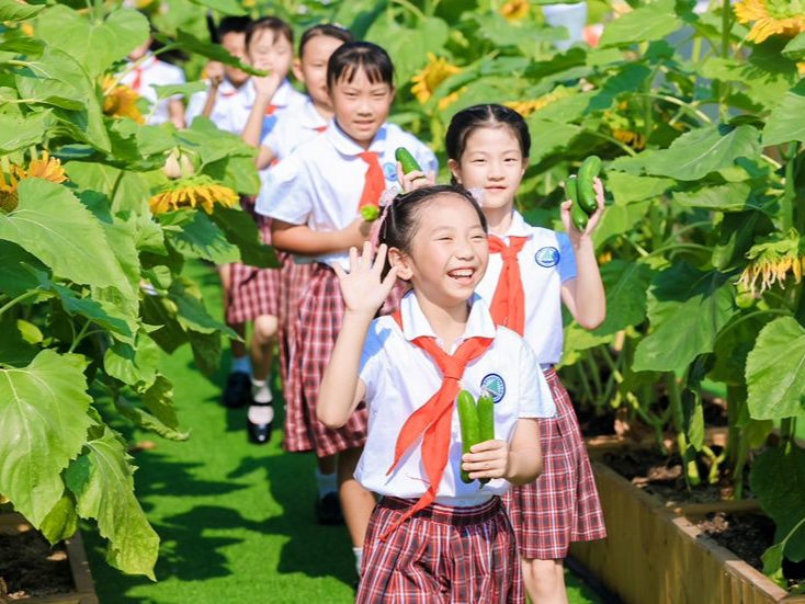 以劳育美！翰林学校举行“庆六一”暨“校园空中农场”丰收节活动