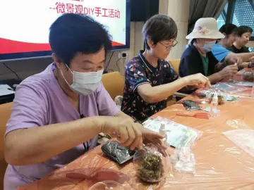 水贝社区举办微景观DIY手工活动