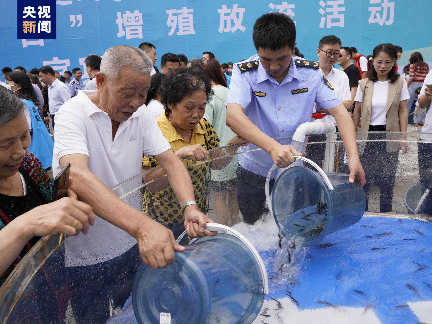 最大规模的长江鲟放流活动，71万余尾放流长江