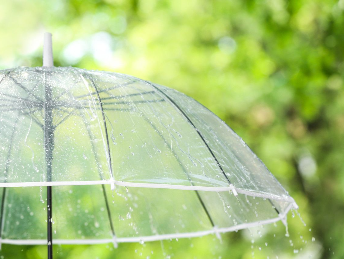 @深圳人，阵雨来袭，上班上学记得带伞！