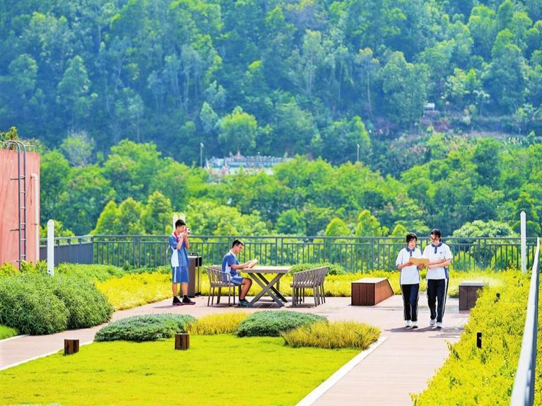 在校园楼顶遇见莫奈花园！深圳多所学校利用楼顶空间营造植物乐园