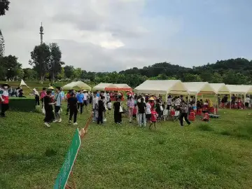 光明街道碧眼社区侨文化美食节精彩开启
