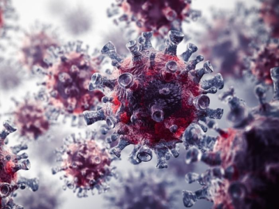 新冠病毒致病力变弱了吗？中国科学家有新发现