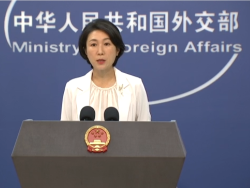 非洲多国积极斡旋乌克兰问题，外交部回应