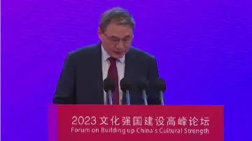 郑永年：照抄照搬现代化模式，往往是失败的现代化