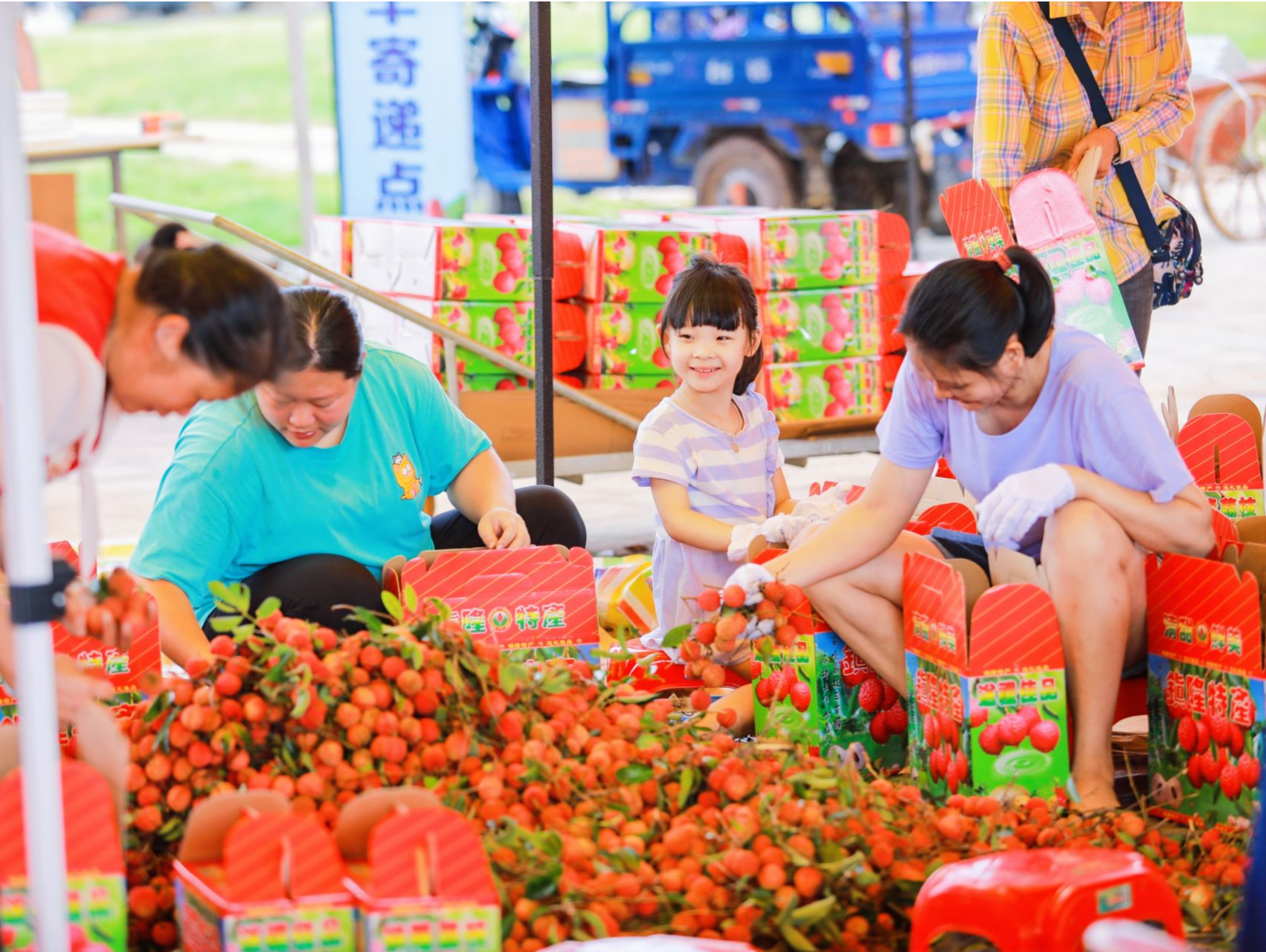 RCEP惠州（镇隆）荔枝交易中心启用  预计今年荔枝出口量超2800吨