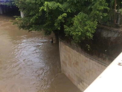 河水暴涨父子被困河道命悬一线，救援人员及时吊索救下
