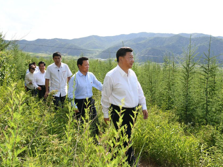 镜观·领航丨筑牢祖国绿色生态屏障