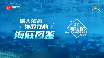 注意！这届文博会有大波“海洋生物”出没