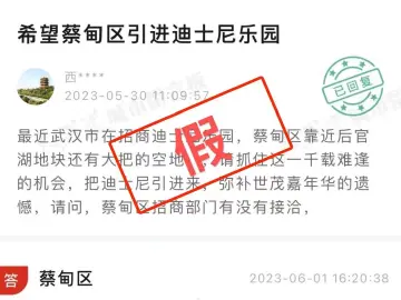 迪士尼将落户武汉？上海迪士尼官方：不实