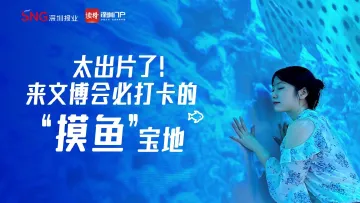 太出片了！世界海洋日，来文博会“摸鱼”