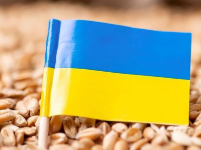 乌克兰官员：乌今年粮食出口量预计减少40%
