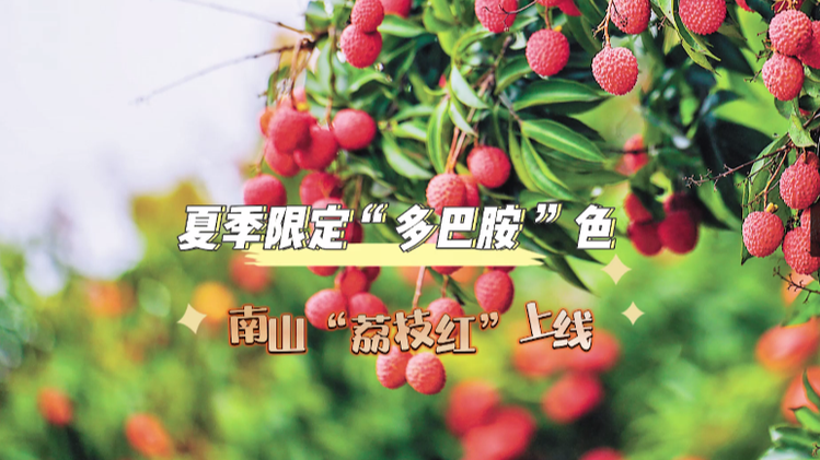 深圳夏季限定“多巴胺”色！南山“荔枝红”上线