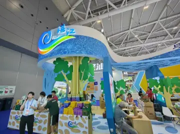 湛江展馆：释放“红树林之城”魅力