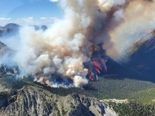 世界气象组织：北半球大部分地区被酷热笼罩