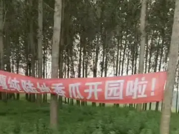 “种地不能打广告”？城管拔瓜农广告旗，官方通报！
