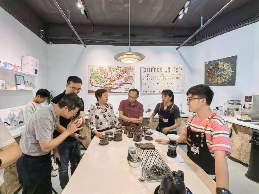 助力八卦岭片区高质量打造咖啡村，市区人大代表到园岭调研咖啡产业发展