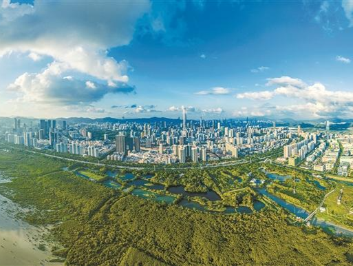 深圳：力争到2025年生态环境质量达到国际先进水平