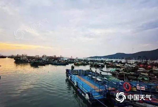 昨天傍晚，广东阳江闸坡渔港停满回港避风渔船。（图/曾波）
