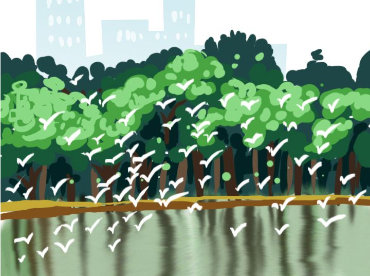 新闻日历｜7月26日 保护红树林生态系统国际日