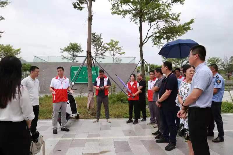 （光明记者，涉及文明城市创建，先不发）凤凰街道扎实推进文明城市创建
