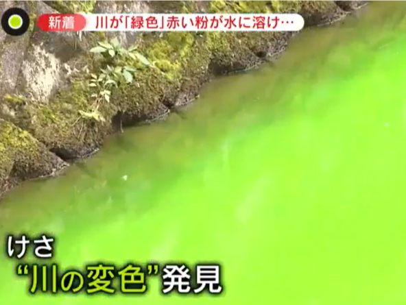 日本一地河水突变刺眼荧光绿，当地政府回应